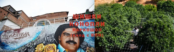 соль ск Осинники